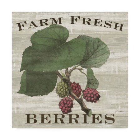 Sue Schlabach 'Farm Fresh Raspberries Square' Canvas Art,35x35